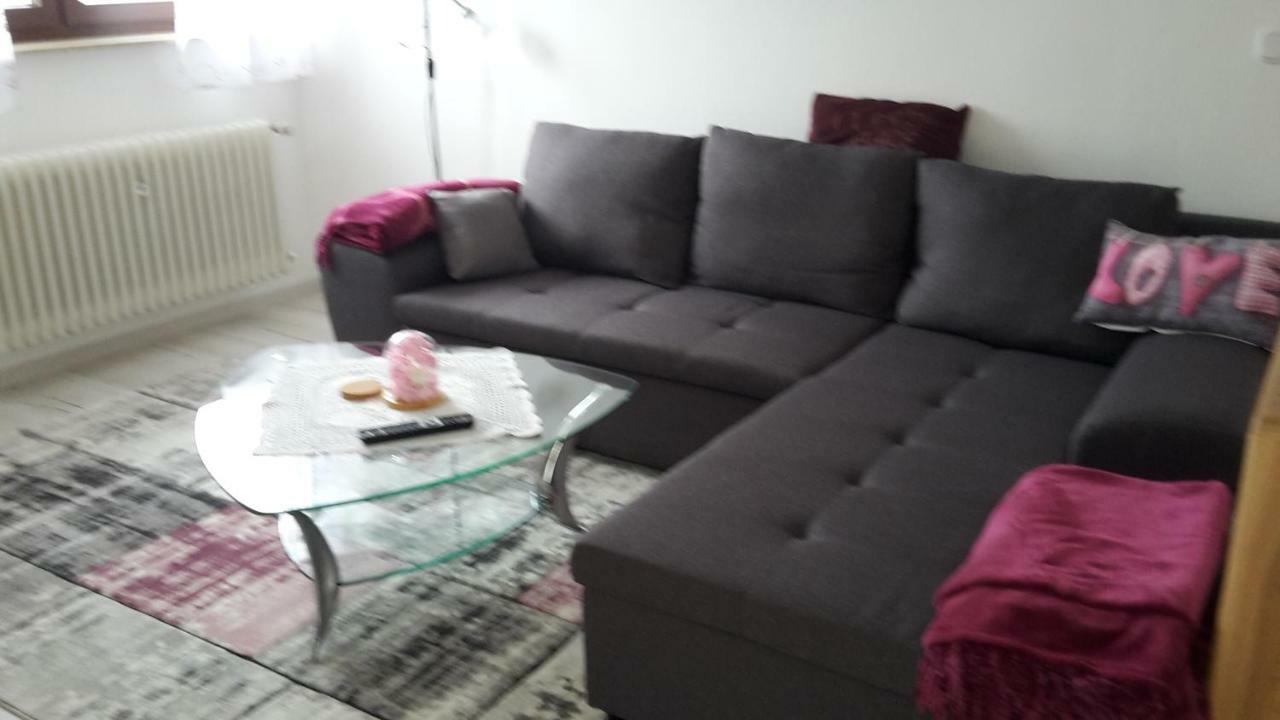 Ferienwohnung Schoenblick Waldmünchen المظهر الخارجي الصورة
