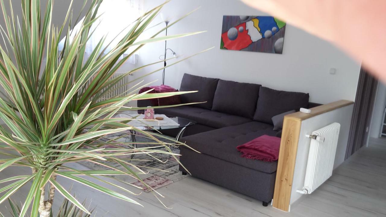 Ferienwohnung Schoenblick Waldmünchen المظهر الخارجي الصورة